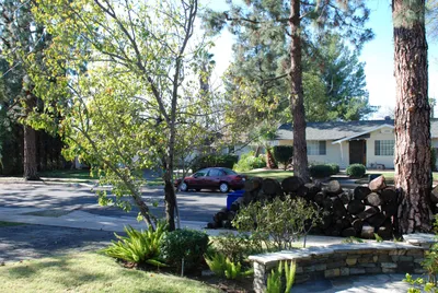 DSC_0013 (Large).JPG